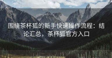 围绕茶杯狐的新手快速操作流程：结论汇总，茶杯狐官方入口