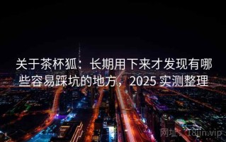 关于茶杯狐：长期用下来才发现有哪些容易踩坑的地方，2025 实测整理