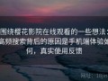 围绕樱花影院在线观看的一些想法：高频搜索背后的原因是手机端体验如何，真实使用反馈