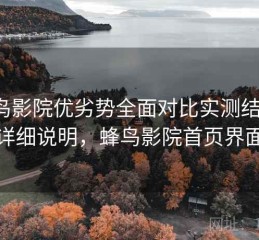 蜂鸟影院优劣势全面对比实测结果：详细说明，蜂鸟影院首页界面