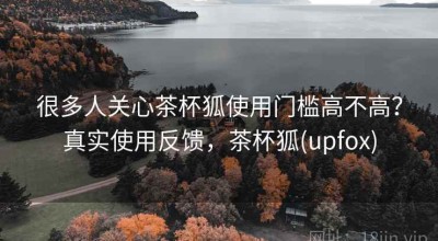 很多人关心茶杯狐使用门槛高不高？真实使用反馈，茶杯狐(upfox)