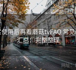 真实使用后再看蘑菇tvFAQ 常见问题汇总：完整整理