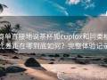 简单直接地说茶杯狐cupfox和同类相比差距在哪到底如何？完整体验记录