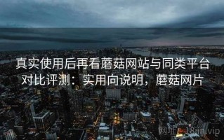 真实使用后再看蘑菇网站与同类平台对比评测：实用向说明，蘑菇网片