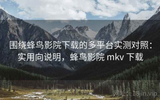 围绕蜂鸟影院下载的多平台实测对照：实用向说明，蜂鸟影院 mkv 下载
