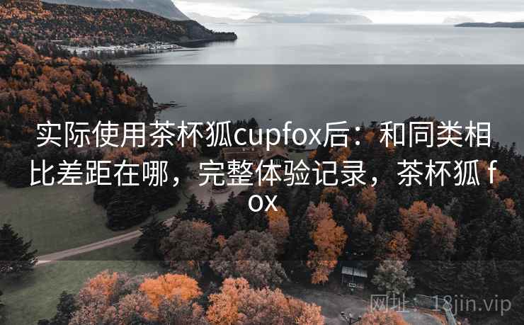 实际使用茶杯狐cupfox后：和同类相比差距在哪，完整体验记录，茶杯狐 fox