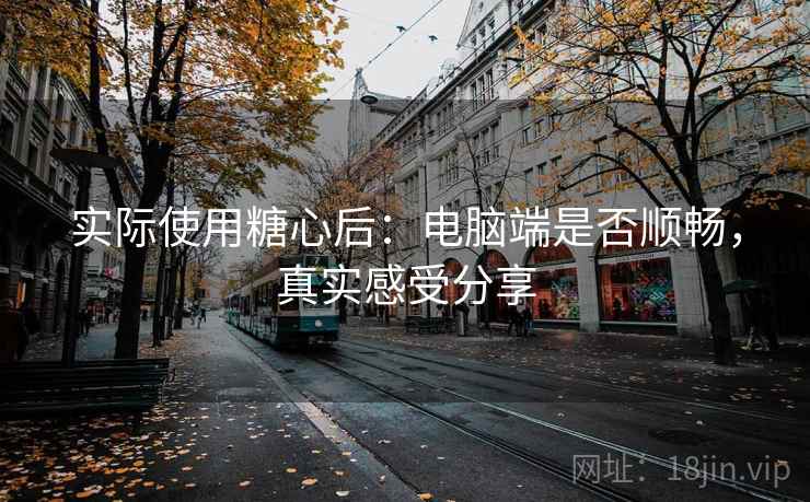 实际使用糖心后：电脑端是否顺畅，真实感受分享