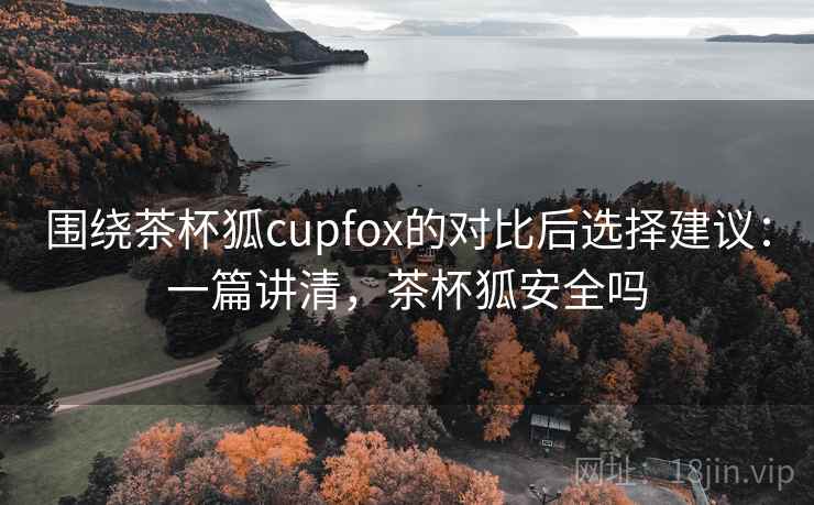围绕茶杯狐cupfox的对比后选择建议:一篇讲清,茶杯狐安全吗 围绕茶杯狐cupfox的对比后选择建议:一篇讲清,茶杯狐安全吗
