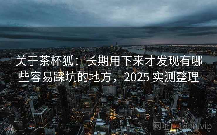 关于茶杯狐：长期用下来才发现有哪些容易踩坑的地方，2025 实测整理