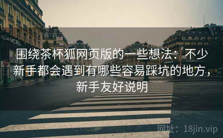 围绕茶杯狐网页版的一些想法：不少新手都会遇到有哪些容易踩坑的地方，新手友好说明
